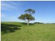 Smithtown NSW 2440