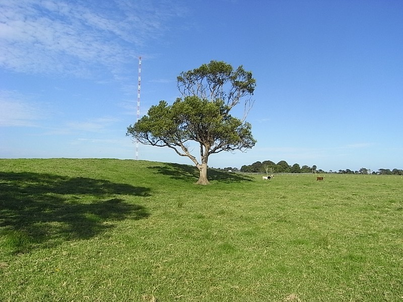 Smithtown NSW 2440