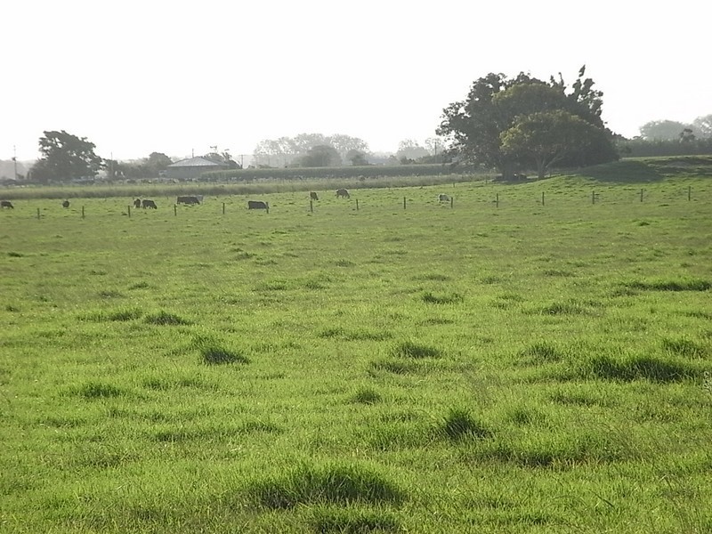 Smithtown NSW 2440