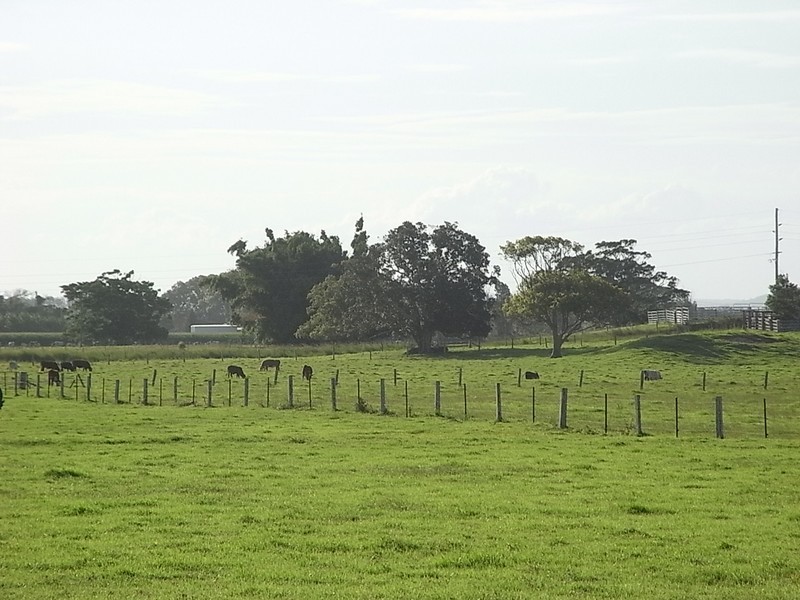 Smithtown NSW 2440