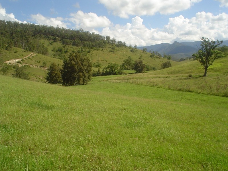 Lower Creek NSW 2440