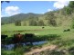 Lower Creek NSW 2440