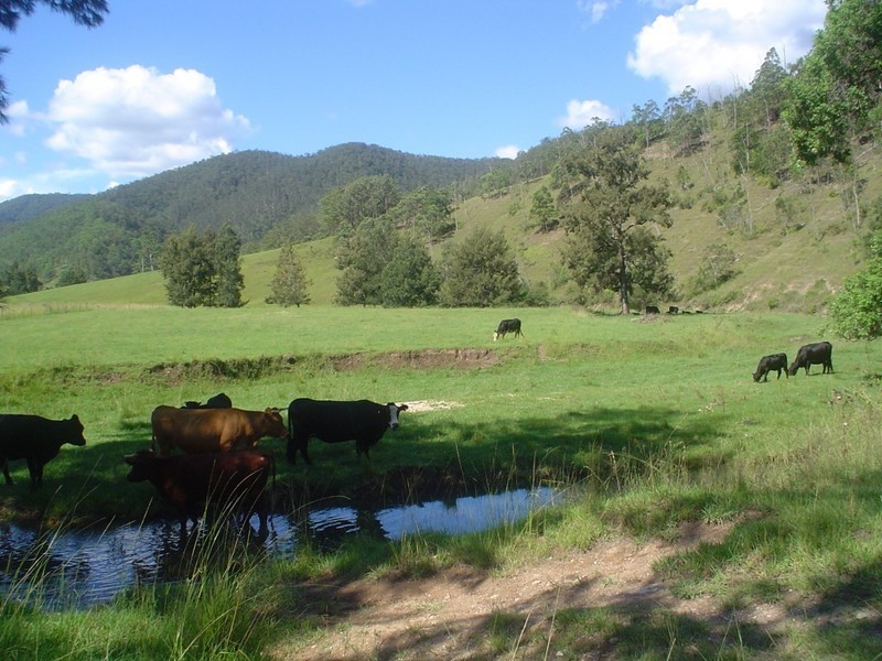 Lower Creek NSW 2440