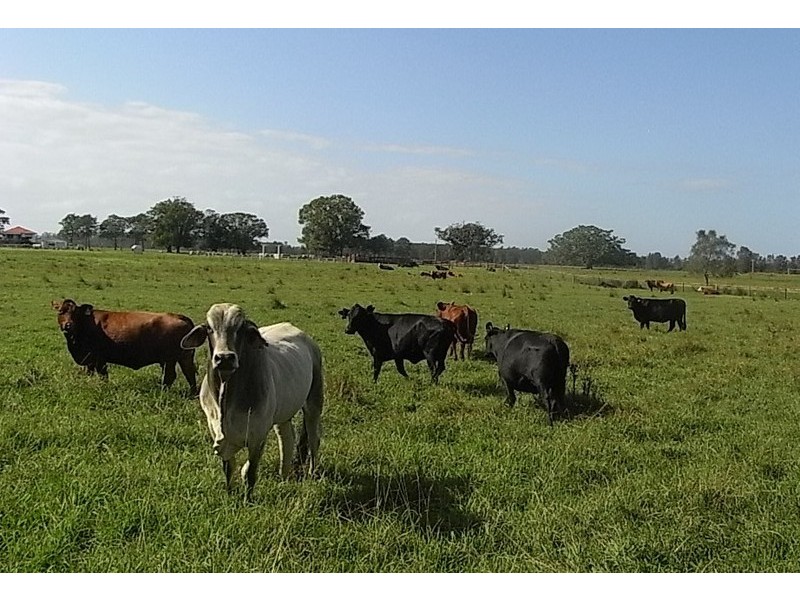 Port Macquarie NSW 2444