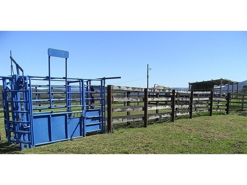 Lower Creek NSW 2440