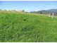 Lower Creek NSW 2440