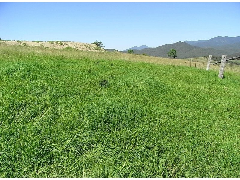 Lower Creek NSW 2440