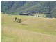 Lower Creek NSW 2440