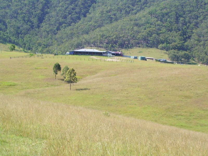 Lower Creek NSW 2440