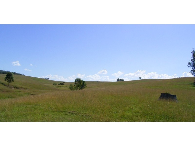 Lower Creek NSW 2440