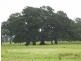 Clybucca NSW 2440
