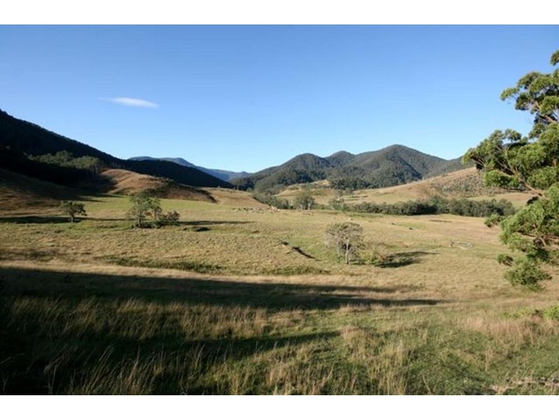 Lower Creek NSW 2440