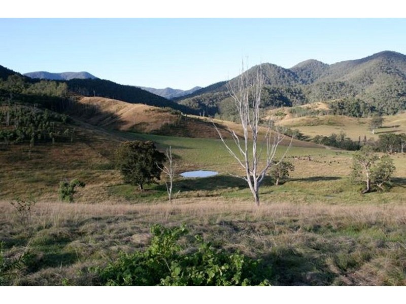 Lower Creek NSW 2440