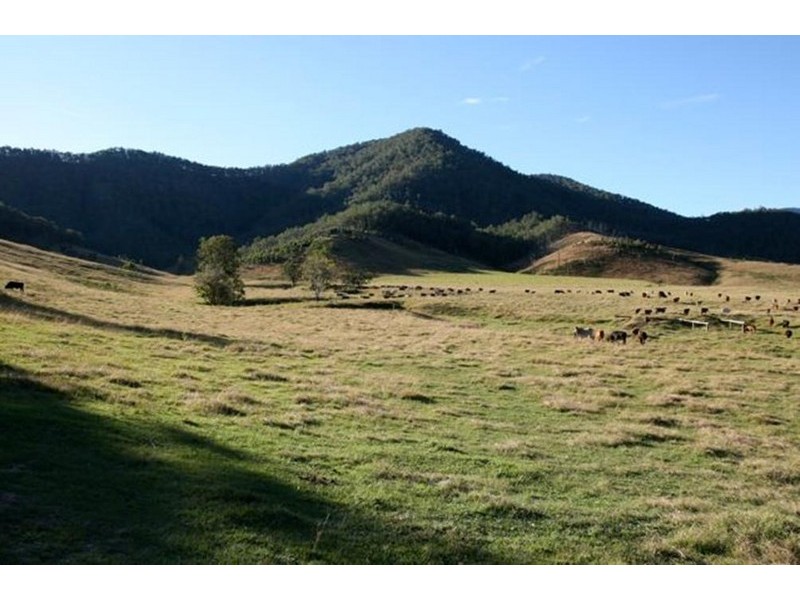 Lower Creek NSW 2440