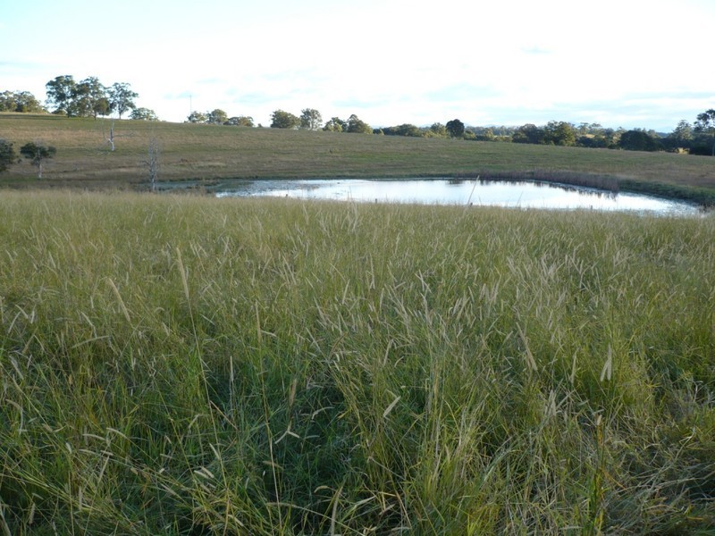 Collombatti NSW 2440