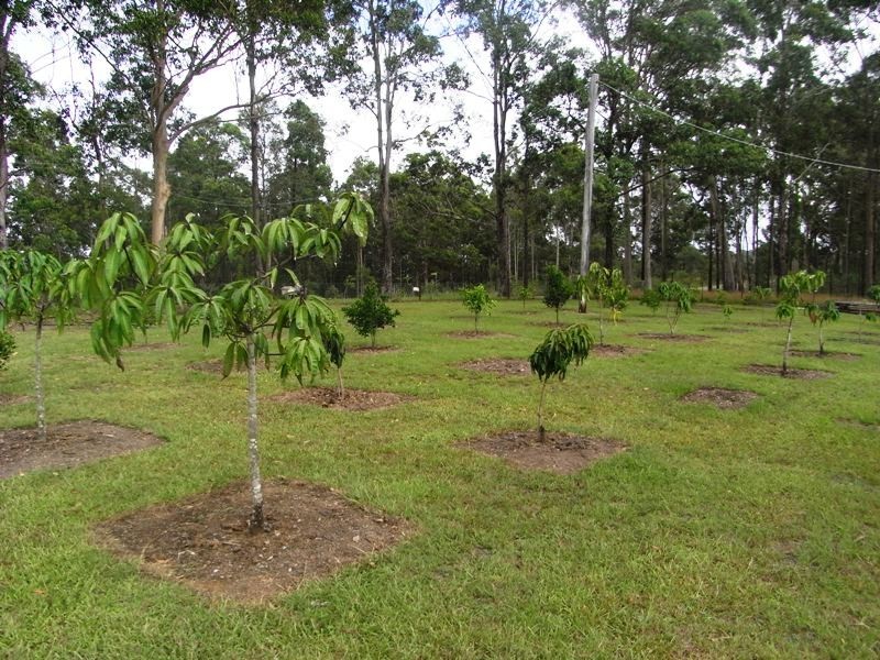 Mungay Creek NSW 2440