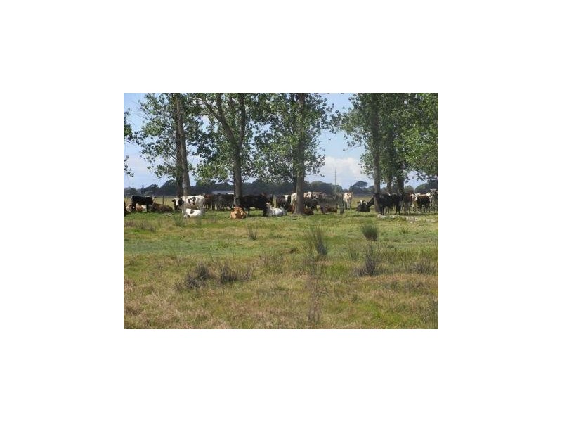 . Syd Sutherlands Lane, Bellimbopinni NSW 2440