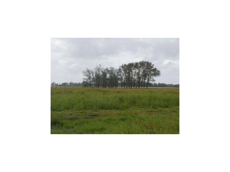 . Syd Sutherlands Lane, Bellimbopinni NSW 2440