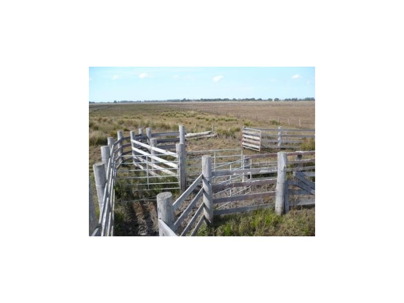 . Syd Sutherlands Lane, Bellimbopinni NSW 2440