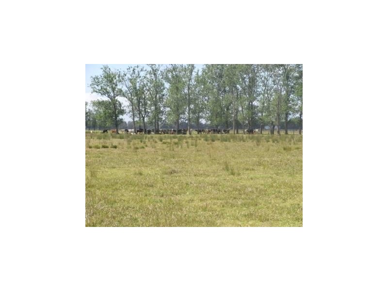 . Syd Sutherlands Lane, Bellimbopinni NSW 2440