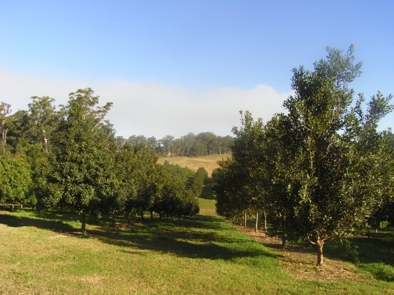 Eungai Rail NSW 2441