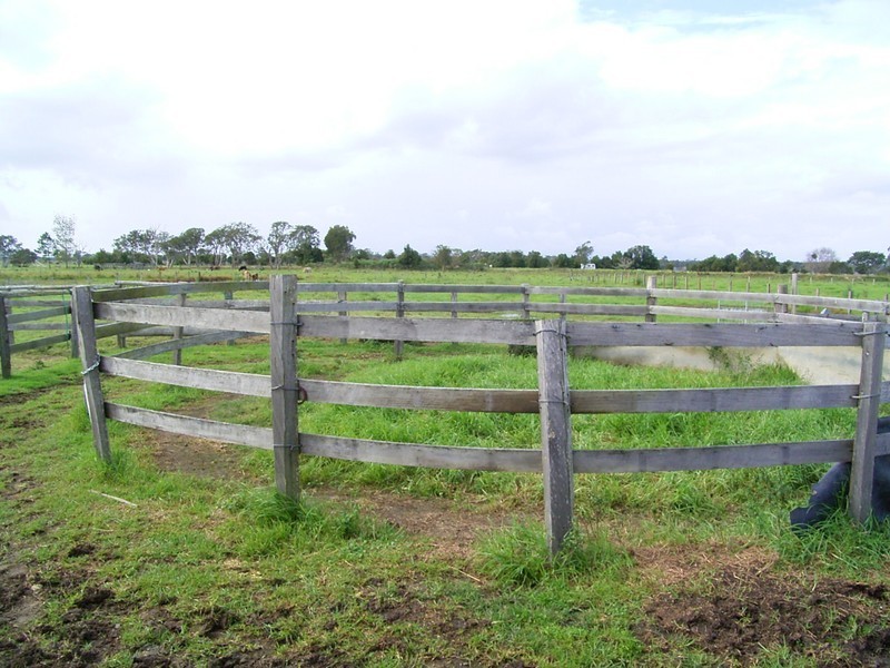 Gladstone NSW 2440