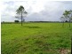 Gladstone NSW 2440