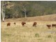 Kempsey NSW 2440