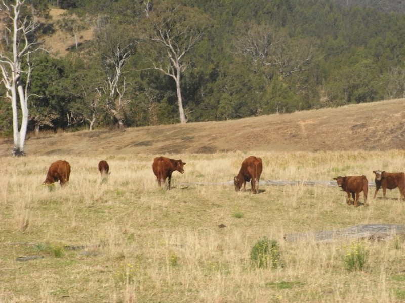 Kempsey NSW 2440