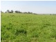 Aldavilla NSW 2440