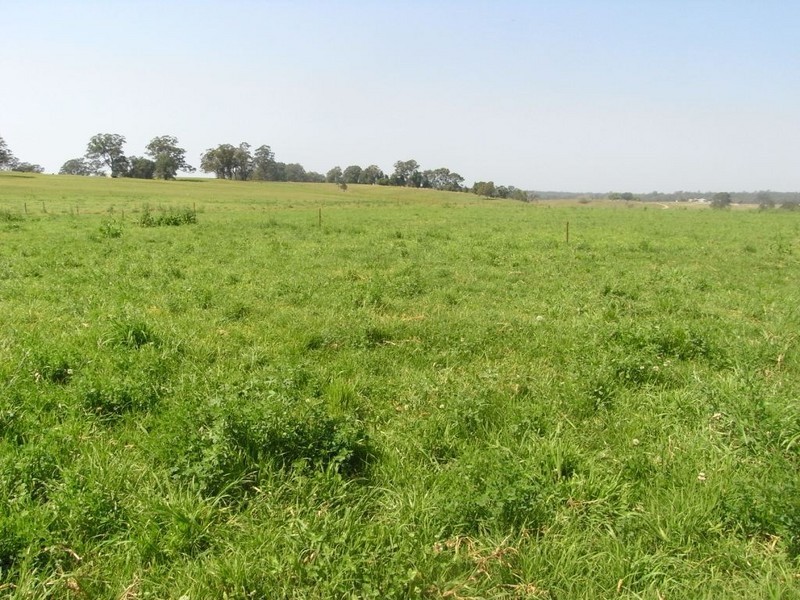 Aldavilla NSW 2440