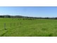 Aldavilla NSW 2440
