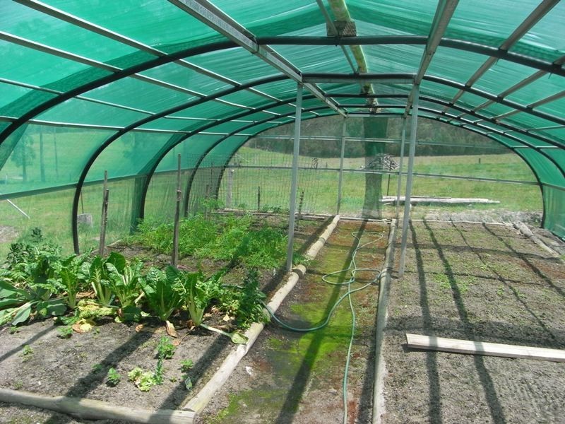 556 Pacific Highway, Kempsey NSW 2440