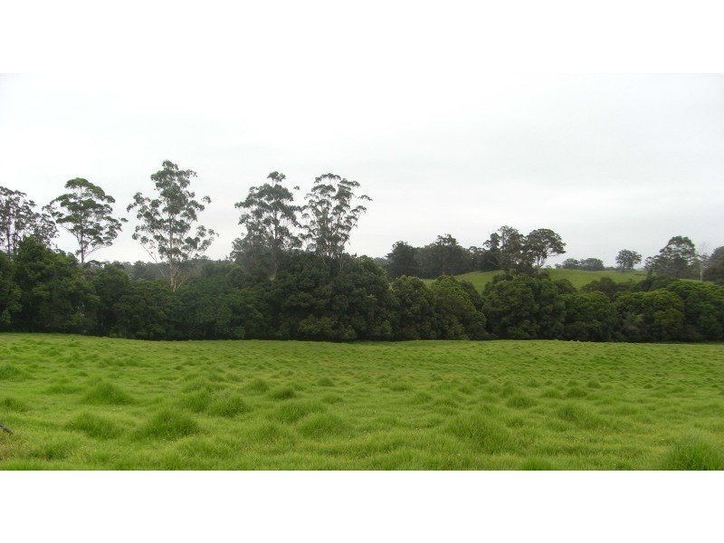 Tamban NSW 2441