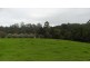 Tamban NSW 2441