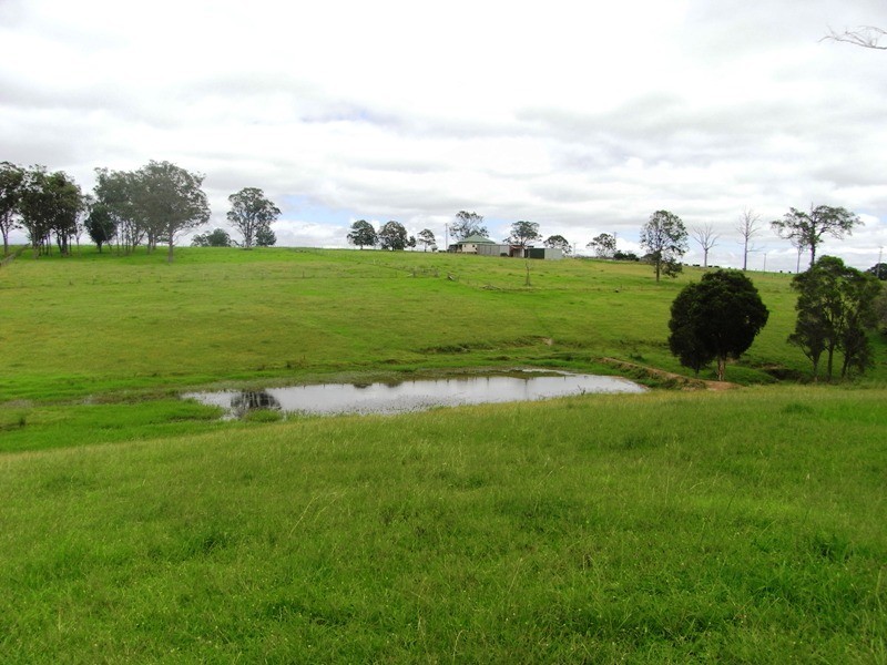 Dondingalong NSW 2440