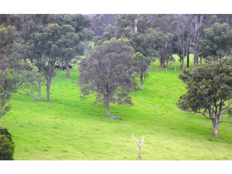 Dondingalong NSW 2440