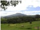 Bellbrook NSW 2440