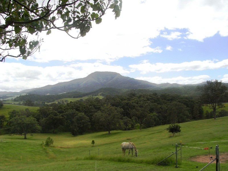 Bellbrook NSW 2440