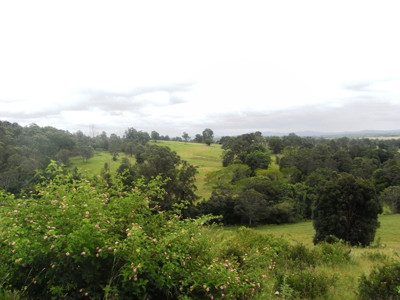 Turners Flat NSW 2440