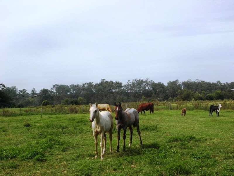 Turners Flat NSW 2440