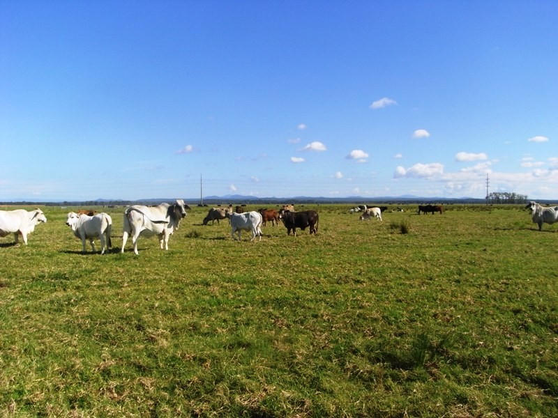 Clybucca NSW 2440