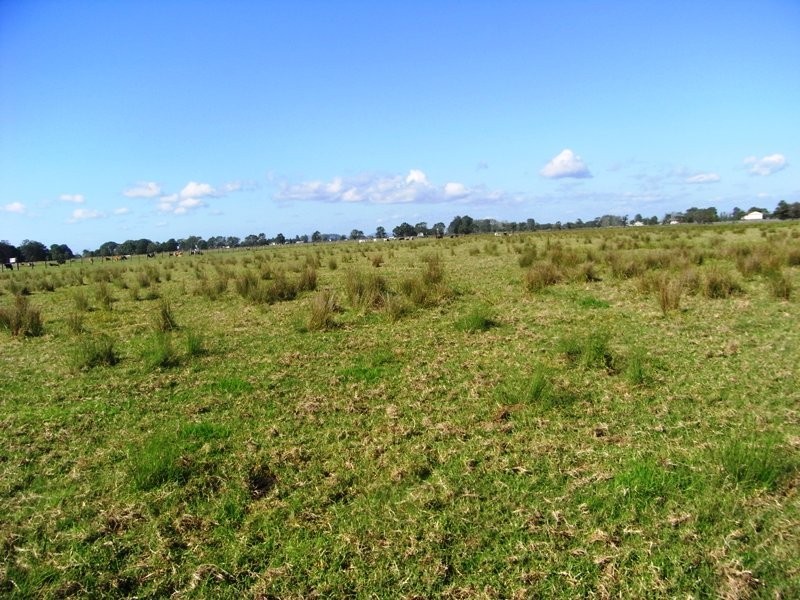Clybucca NSW 2440