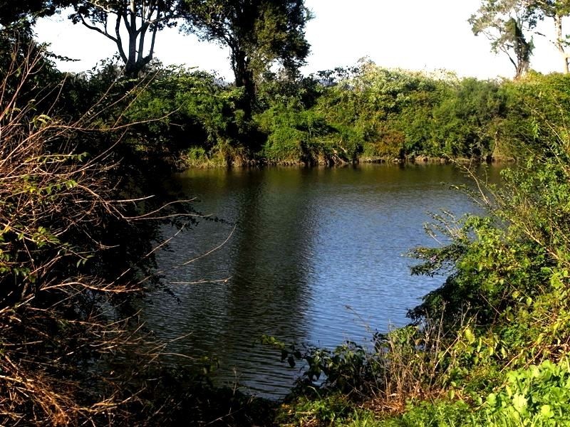 153 Right Bank Road, Belmore River NSW 2440