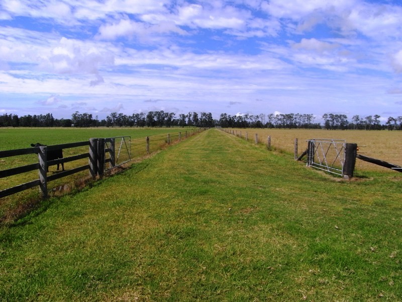 Hacks Ferry NSW 2441