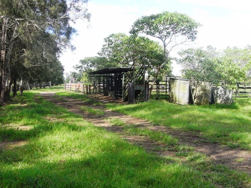 Hacks Ferry NSW 2441