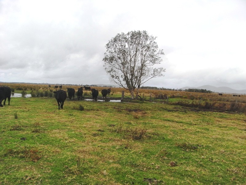 Kempsey NSW 2440
