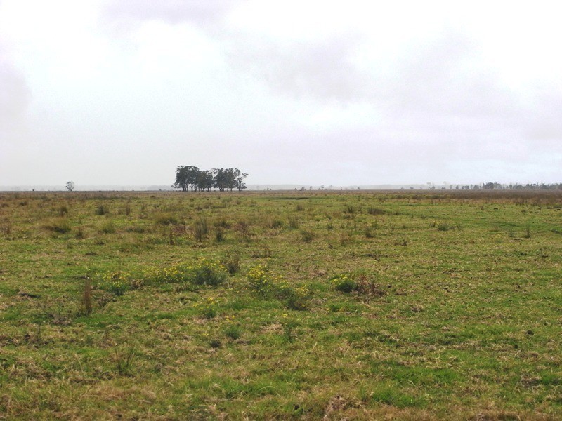Kempsey NSW 2440