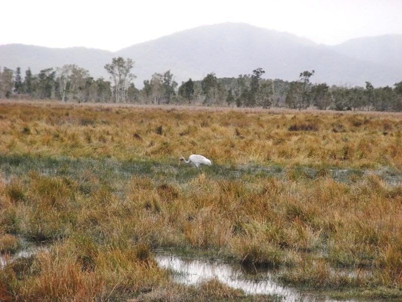 Kempsey NSW 2440