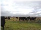 Kempsey NSW 2440